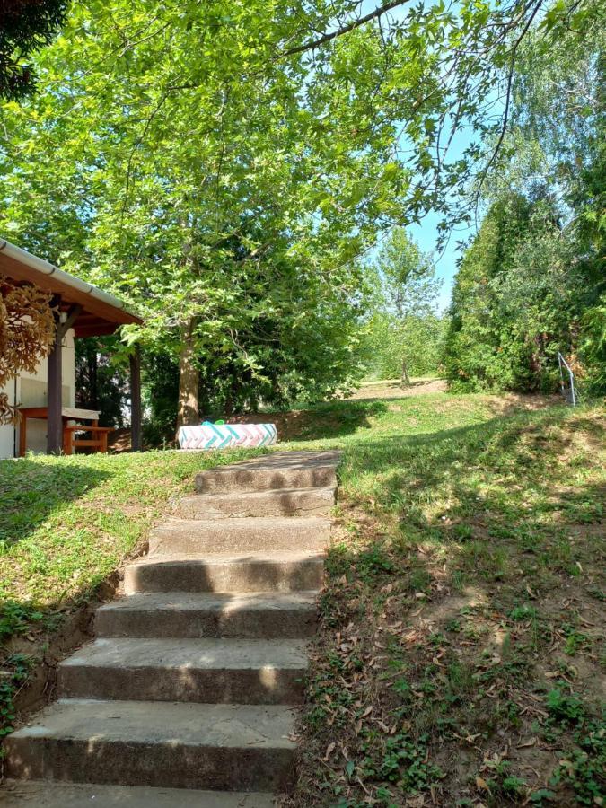 Helena Apartman Cserszegtomaj Exteriér fotografie