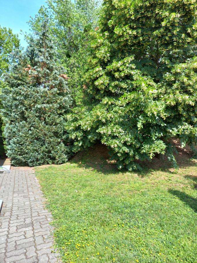 Helena Apartman Cserszegtomaj Exteriér fotografie