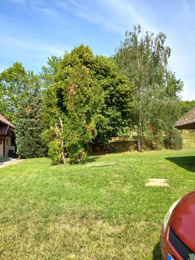 Helena Apartman Cserszegtomaj Exteriér fotografie
